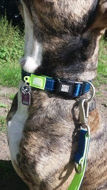 Ошейник для собак Max & Molly Smart ID Collar Matrix Lime Green зеленого цвета, XS