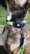Ошейник для собак Max & Molly Smart ID Collar Matrix Lime Green зеленого цвета, XS