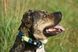 Ошейник для собак Max & Molly Smart ID Collar Matrix Lime Green зеленого цвета, XS