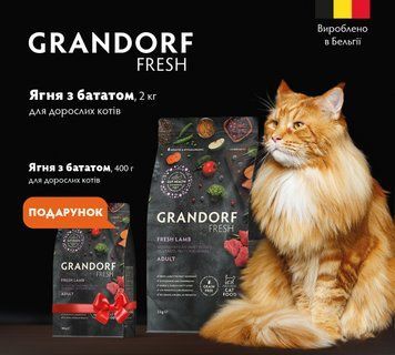 Grandorf Сухий беззерновий корм для дорослих котів Grandorf FRESH LAMB & SWEET POTATO ADULT CAT ягня з бататом, 2 кг + 400 г у подарунок