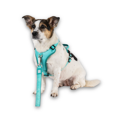 Шлейки для собак Max & Molly Smart ID Sport Harness Matrix 2.0 Turquoise бірюзового кольору, S