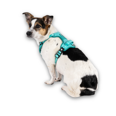 Шлейки для собак Max & Molly Smart ID Sport Harness Matrix 2.0 Turquoise бірюзового кольору, S