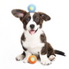 Cheerble Wicked Blue Ball SE - Интерактивный синий мяч для собак маленьких и средних пород