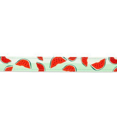 Повідець багатофункціональний Max & Molly Multi-Function Leash Watermelon з принтом Кавун, S