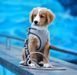 Шлейки для собак Max & Molly Air Vest Harness Matrix 2.0 Turquoise бірюзового кольору, XXS